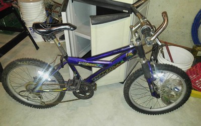 old schwinn stingray